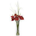 Tropical Anthirum w/Cylinder Arrangement