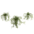 Wild Grass w/White Vase (Set of 3)