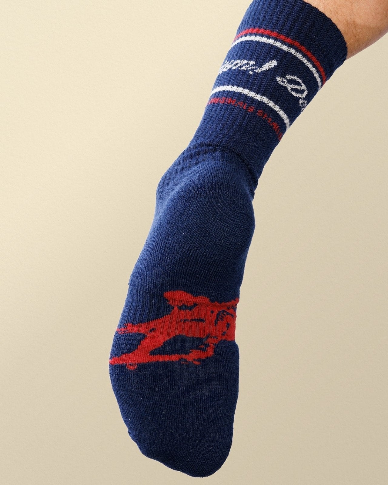 Burnout Merino Sock