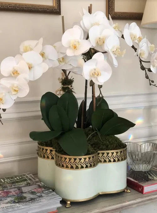 Pale Green & Gold Greek Key Quatrefoil Planter