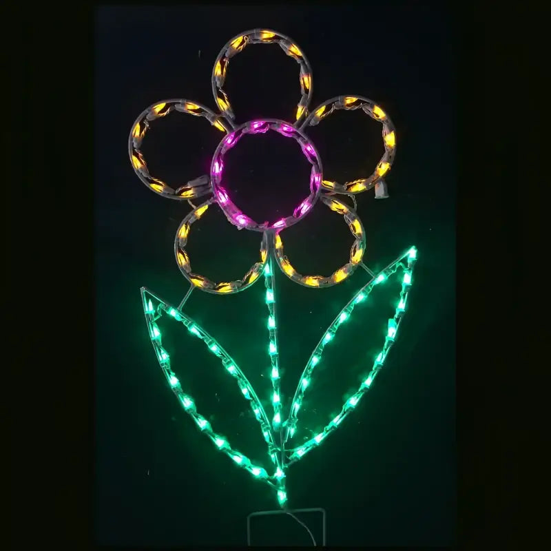 Daisy,Large