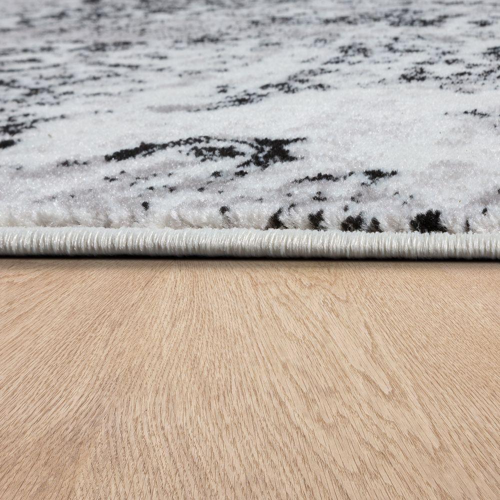 Designer Rug Ornamental Vintage Look Black White