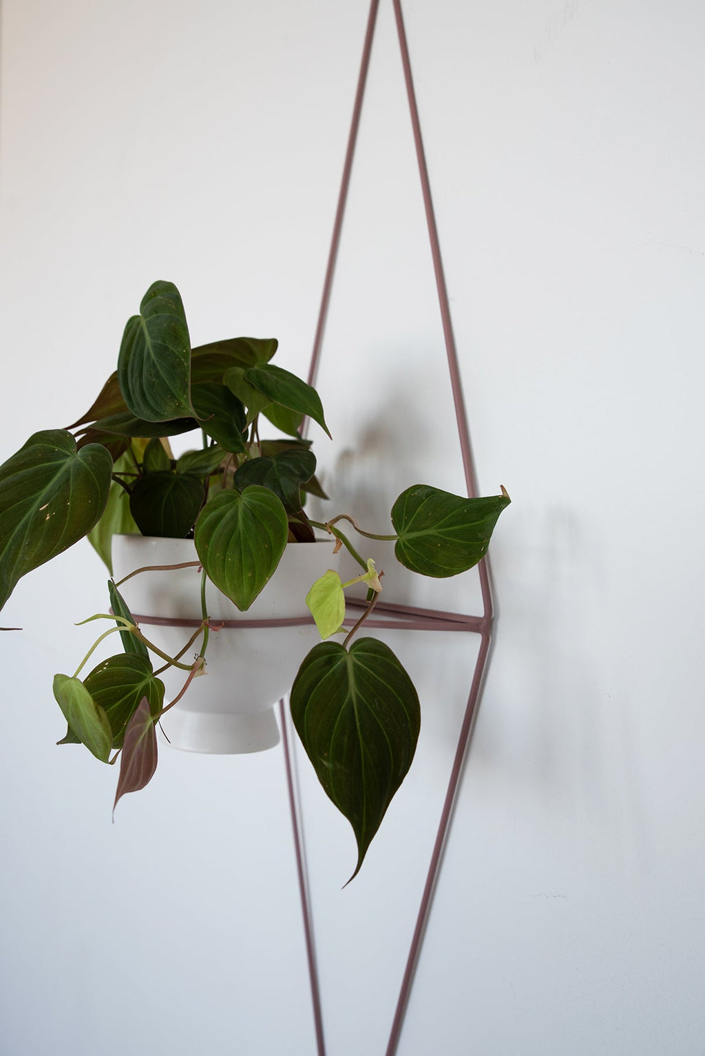 Diamond Eye Wall Planter