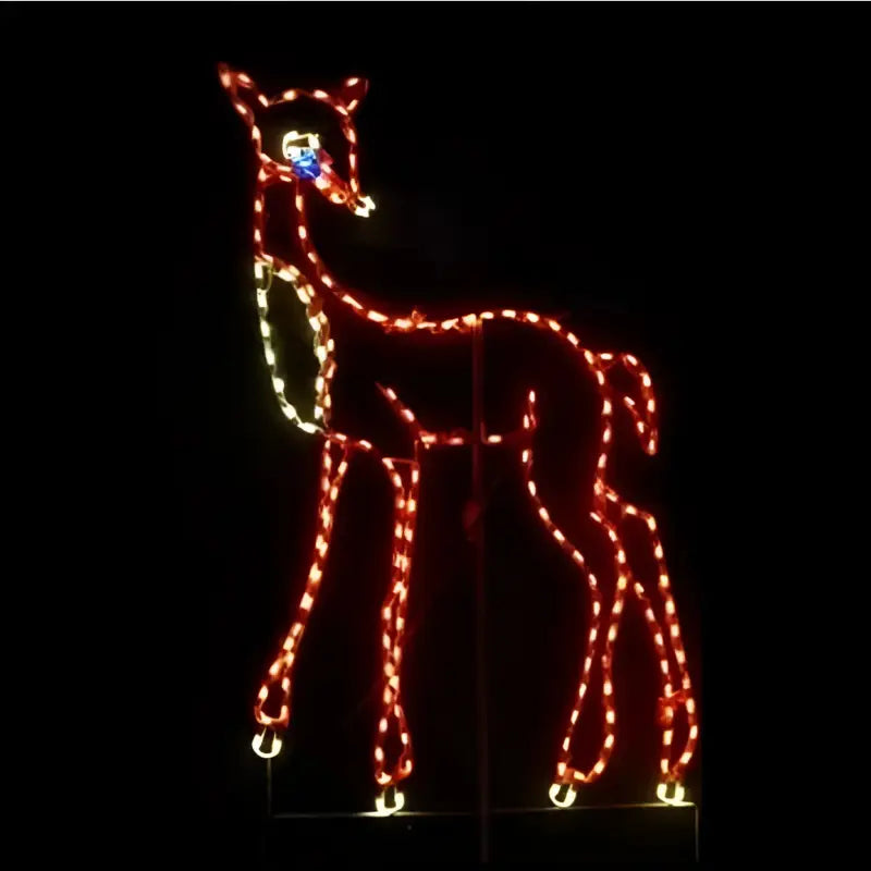 Doe