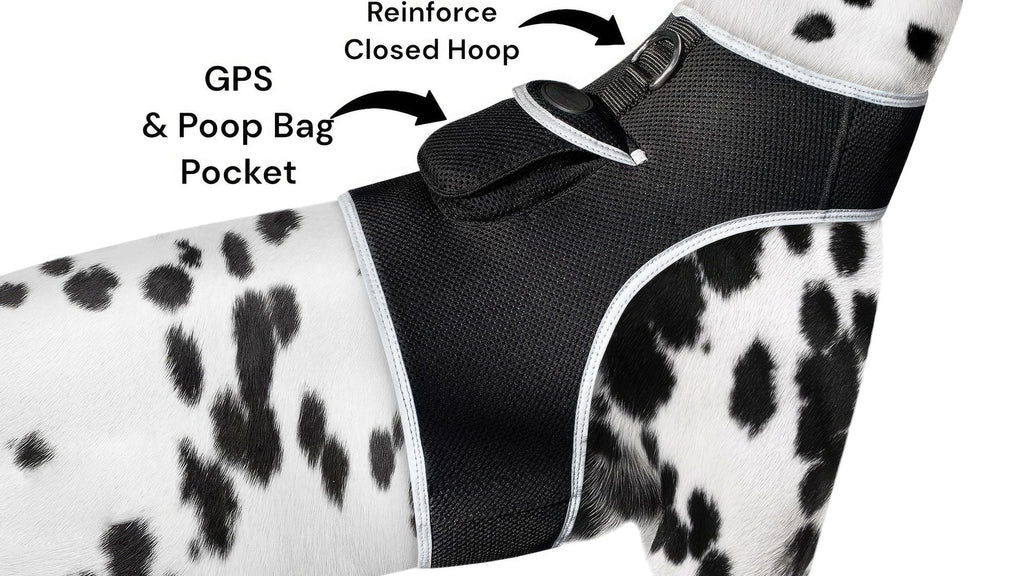 Waterproof Mini Pet Location Finder w/ Pet GPS Tracking Cell Phone App Size:M