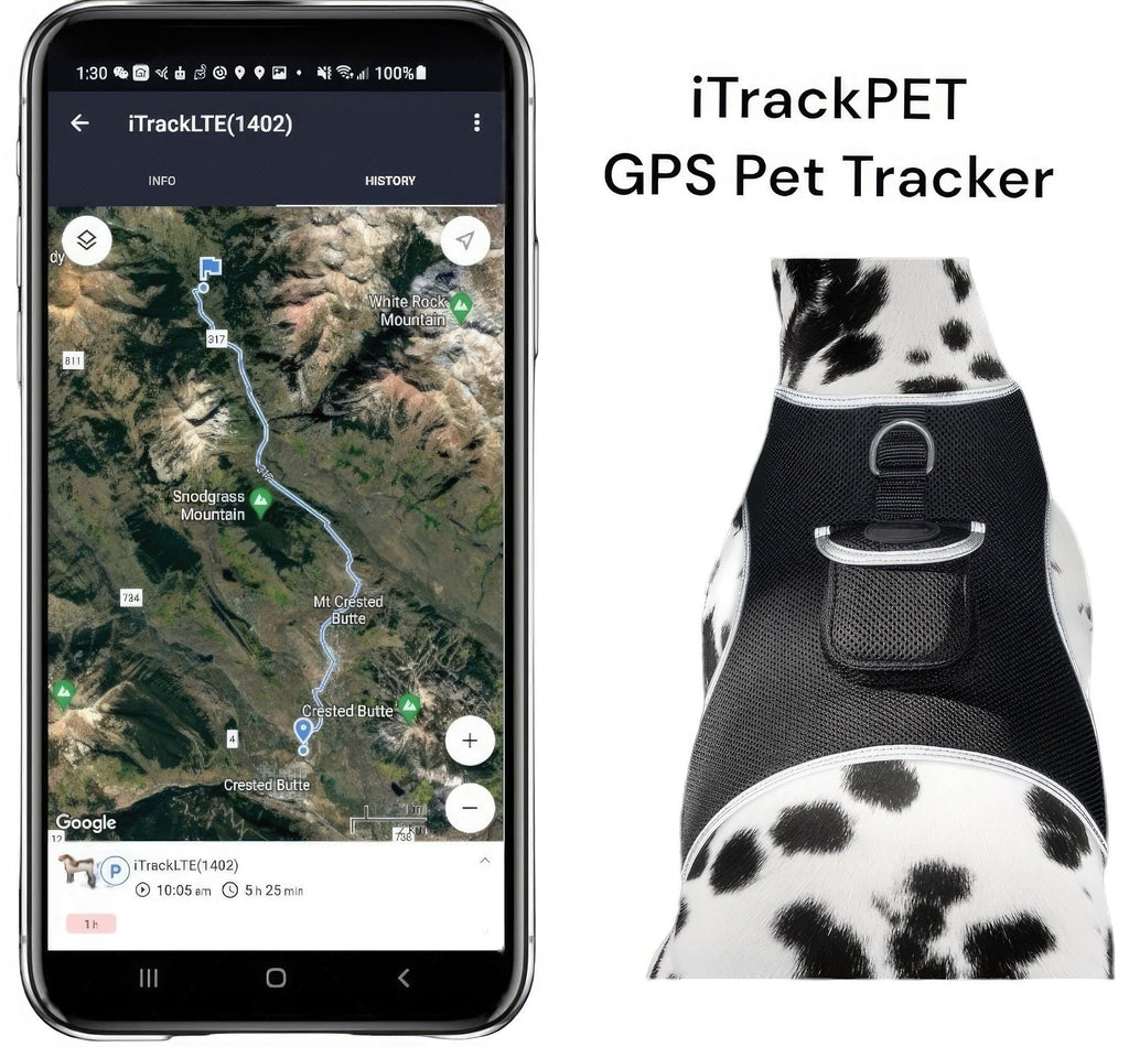 Waterproof Mini Pet Location Finder w/ Pet GPS Tracking Cell Phone App Size:M