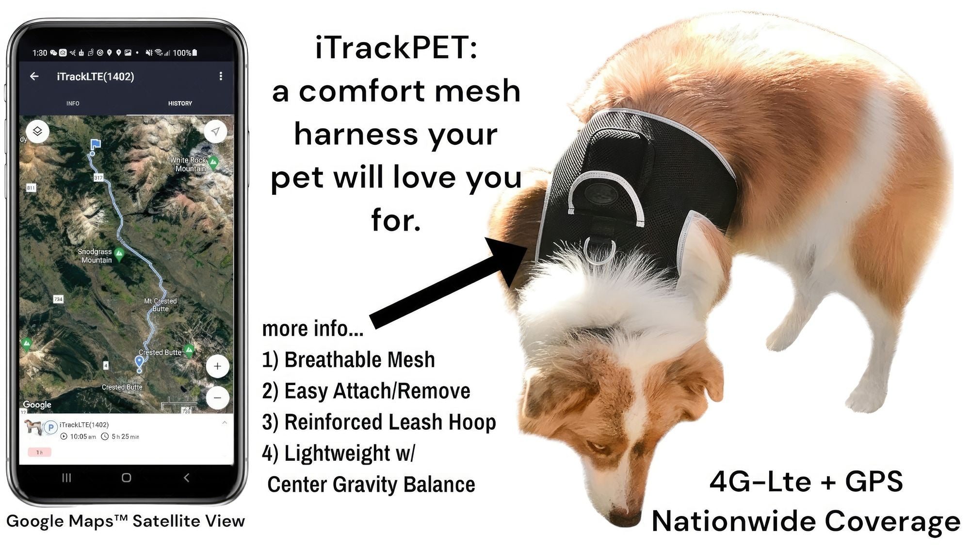 Waterproof Mini Pet Location Finder w/ Pet GPS Tracking Cell Phone App Size:M