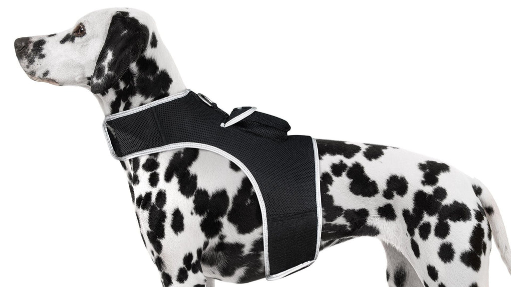 Waterproof Mini Pet Location Finder w/ Pet GPS Tracking Cell Phone App Size:M