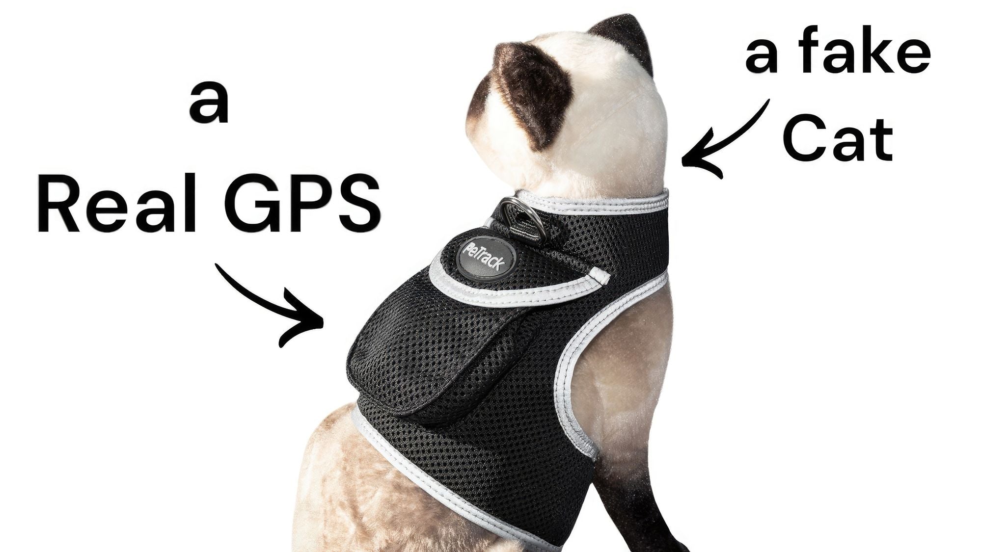 Waterproof Mini Pet Location Finder w/ Pet GPS Tracking Cell Phone App Size:M