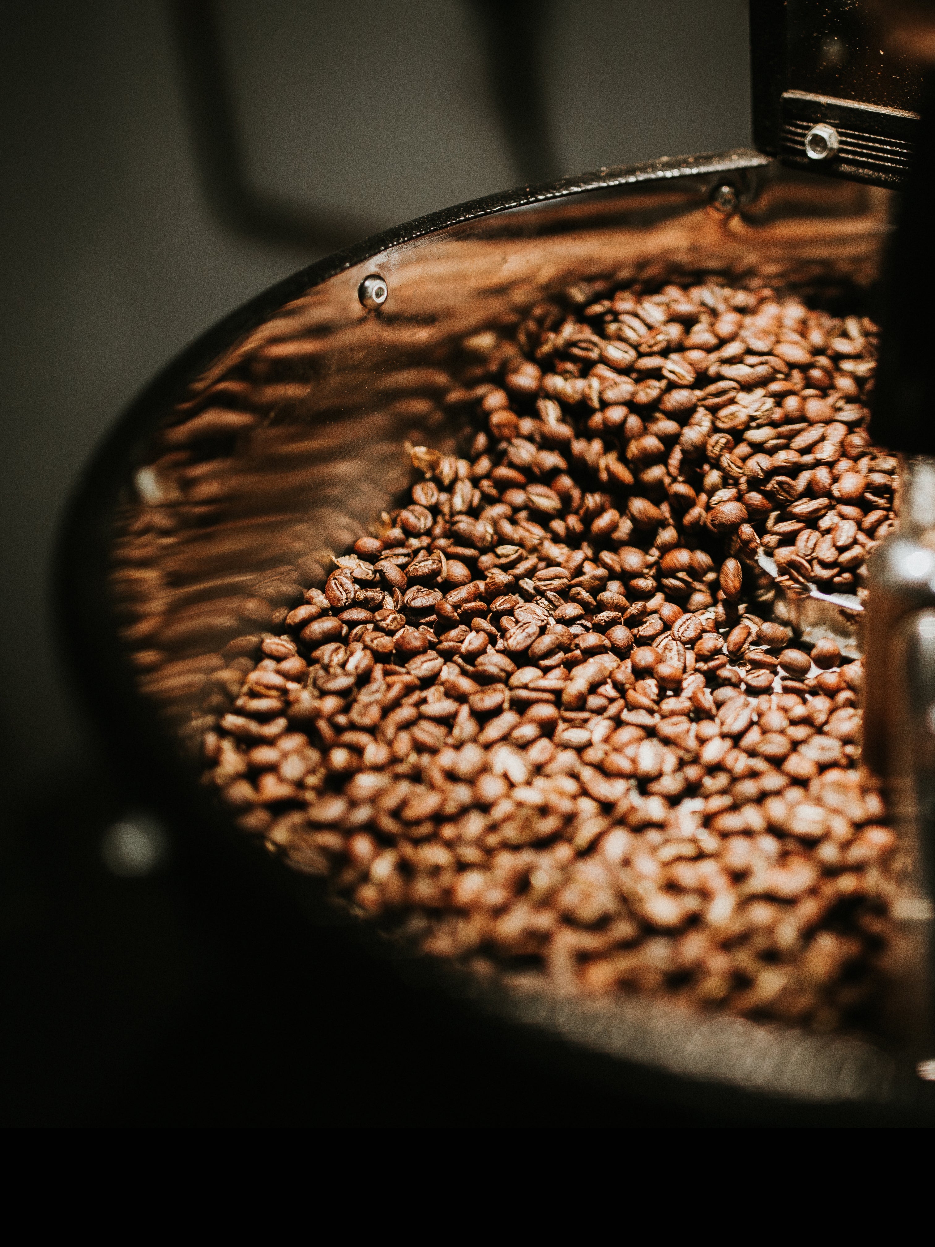 Yemen Mocca Coffee - 1 lb (16 oz)