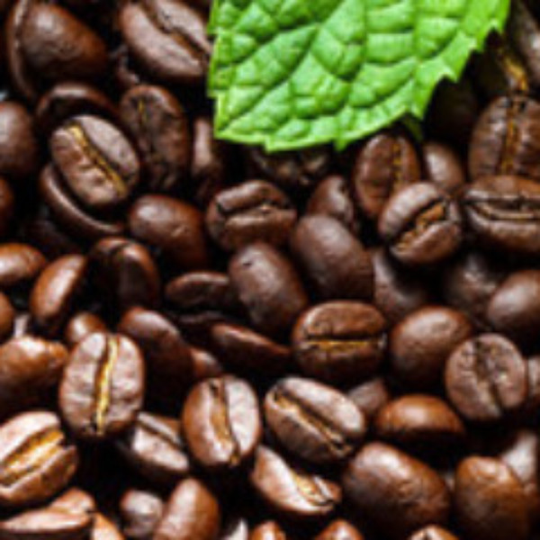 Zach Attack Coffee - 1 lb (16 oz)