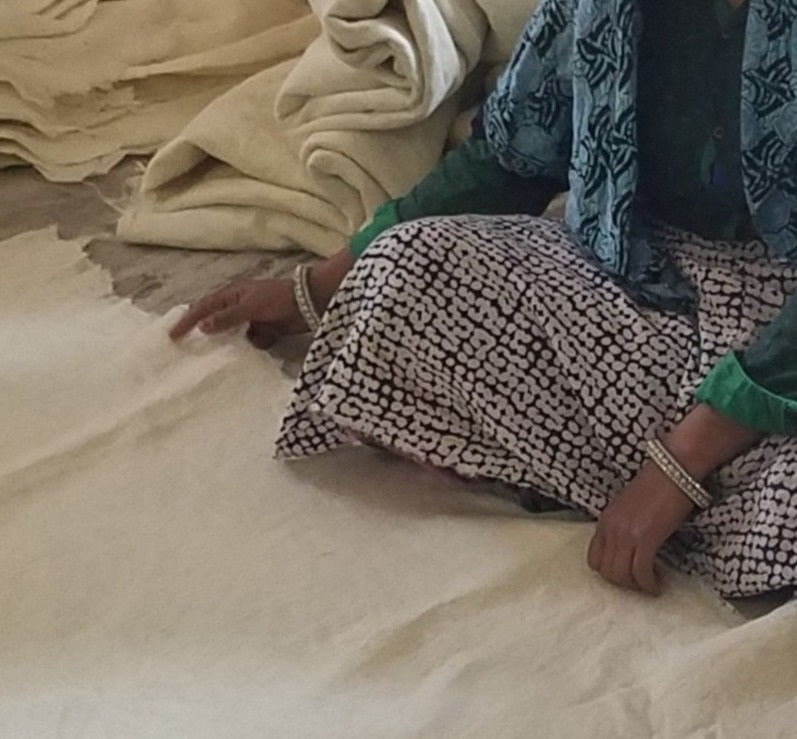 Handmade Felted Wool Overlapping Flowers Border Cream Christmas Tree Skirt 26"/48"/64"/72" Arcadia Home