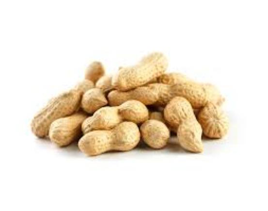 Jumbo Peanuts in Shell in Bulk