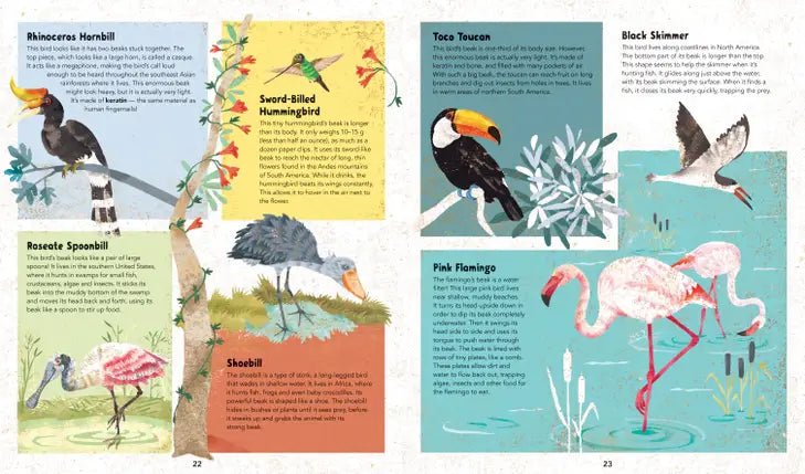 Incredible Animals - Hardcover Children's Book