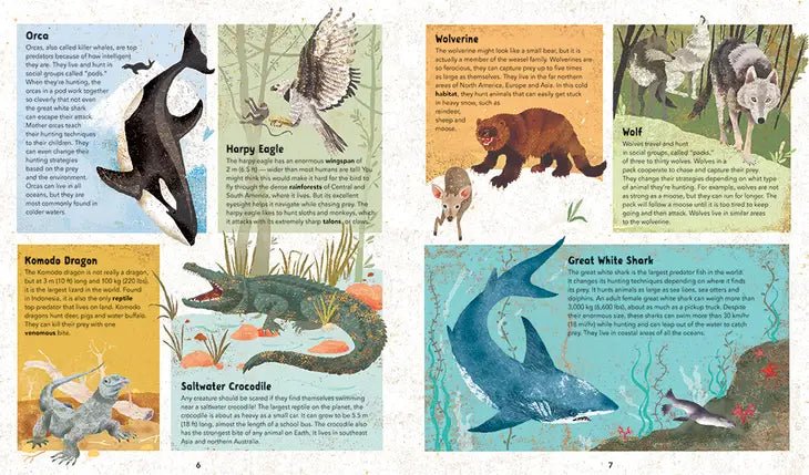 Incredible Animals - Hardcover Children's Book