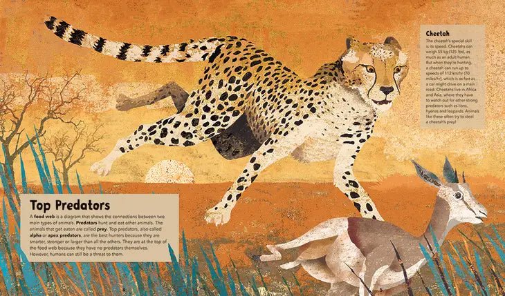 Incredible Animals - Hardcover Children's Book