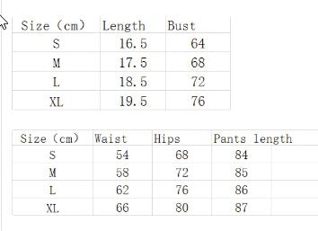 Quick Dry Fitness Leggings and Top for Women