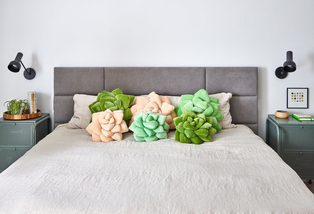 Lil' Pop Succulent® - Blush Peach