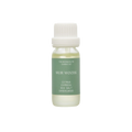 Muir Woods Oil Blend