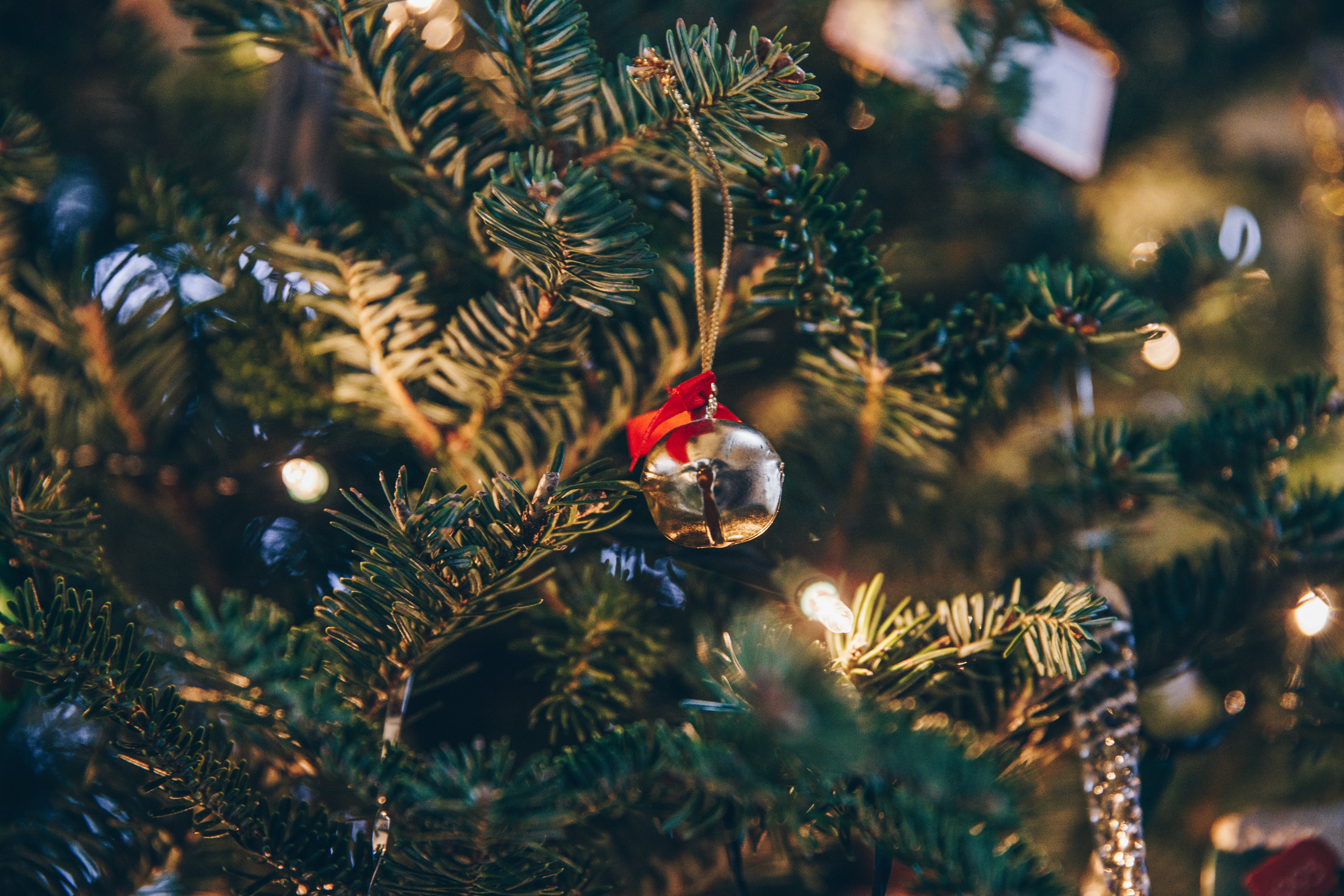 Christmas Season