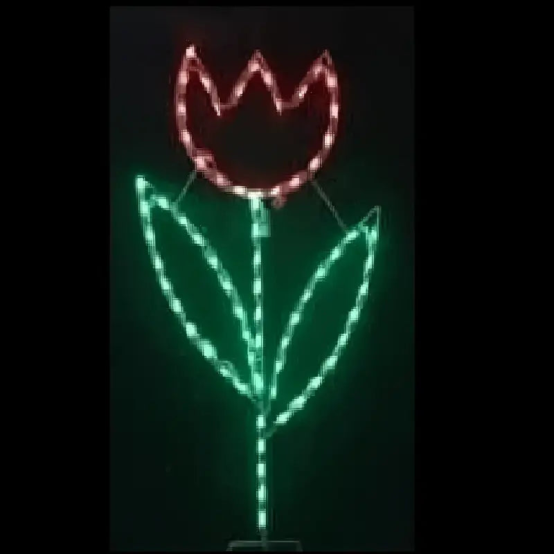 TULIP,Large